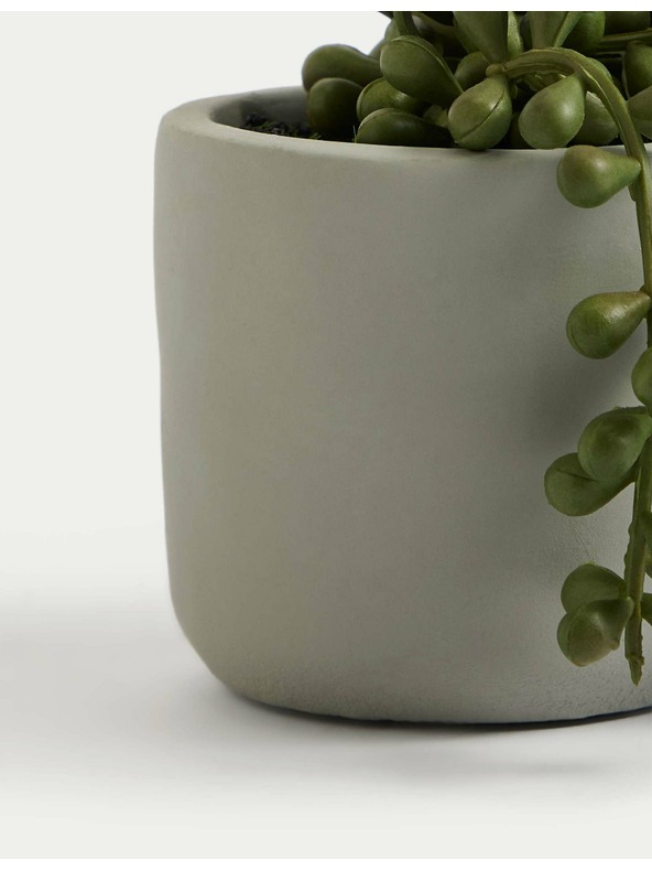 Marks & Spencer Umelý mini starček previslý v kvetináči Marks & Spencer zelená