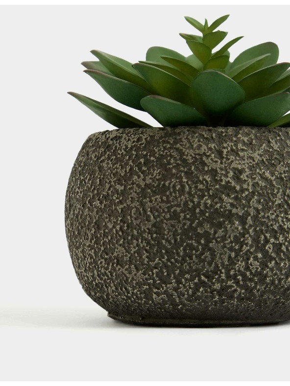 Marks & Spencer Umelý mini sukulent v betónovom kvetináči Marks & Spencer zelená