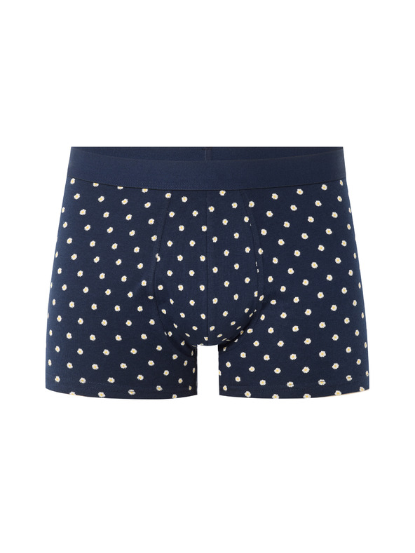Celio Boxerky Nibodaisy