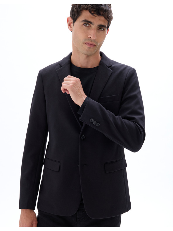 Celio Blejzer Mujess