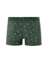 Celio Boxerky Miboginko