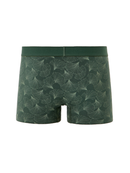 Celio Boxerky Miboginko