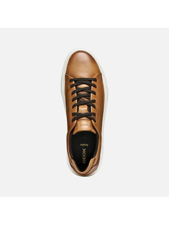 Geox Svetlohnedé pánske tenisky Geox Deiven