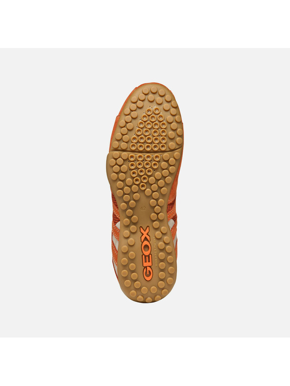 Geox Oranžové pánske tenisky Geox Snake Original