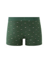 Celio Boxerky Mibopanda