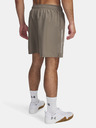 Under Armour Pánske kraťasy Under Armour UA Tech Woven Wordmark Short