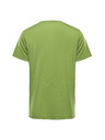 ALPINE PRO Pánske funkčné tričko s antibakteriálnou úpravou ALPINE PRO LYOR peridot