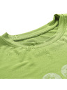 ALPINE PRO Pánske funkčné tričko s antibakteriálnou úpravou ALPINE PRO LYOR peridot