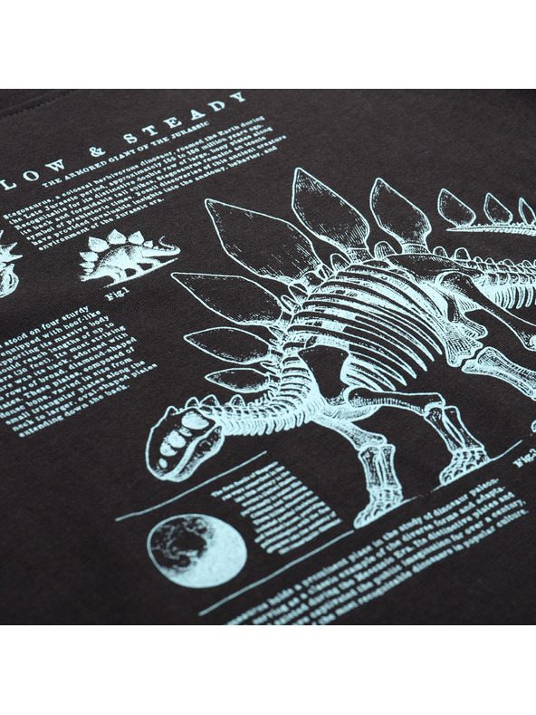 ALPINE PRO Detské tričko z organickej bavlny ALPINE PRO ECCO 2 black varianta pf