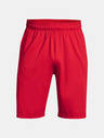 Under Armour Pánske kraťasy Under Armour Raid 2.0 Shorts