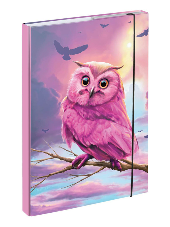 BAAGL  BAAGL Dosky na školné zošity A4 Sova