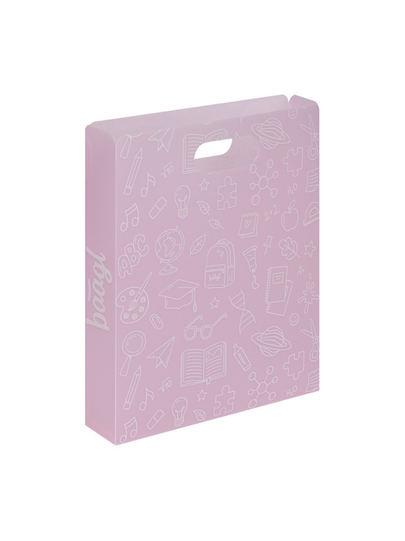 BAAGL  BAAGL Plastové dosky na školské zošity School ružové