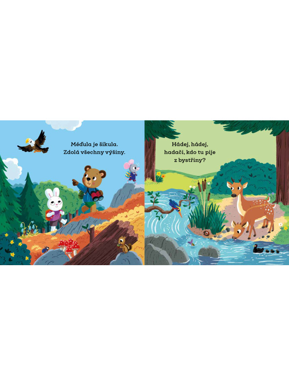 BAAGL  MEDVEDÍK ŠIKOVNÝ TÁBORNÍKOM – Obrázky s pohyblivými prvkami