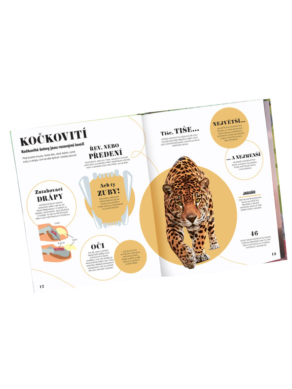 ELLA & MAX 5 MINÚT A VIEM: PRÍRODA – 1000+ základných informácií