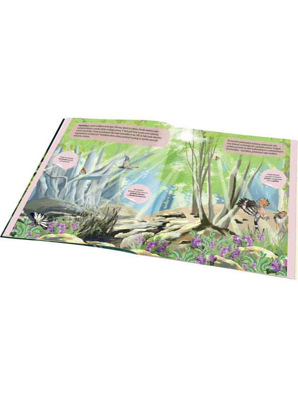 ELLA & MAX KOUZELNÝ SVĚT LESA – Knižka samolepiek