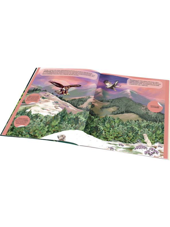 ELLA & MAX KOUZELNÝ SVĚT LESA – Knižka samolepiek