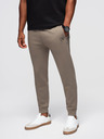 Ombre Clothing Pánske tepláky so žebrovanými nohavicami a gumovým potlačou - popol V3 OM-PASK-0223 Ombre Clothing
