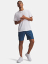 Under Armour Pánske kraťasy Under Armour UA Tech Woven Wordmark Short