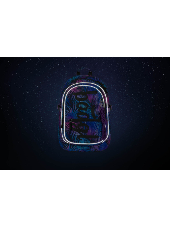 BAAGL  BAAGL Školský batoh Core Palm