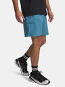 Under Armour Pánske kraťasy Under Armour UA Vibe Woven Cargo Short