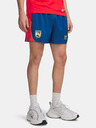 Under Armour Pánske kraťasy Under Armour UA 96 Terrace Country Short