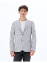 Celio Blejzer Mujess