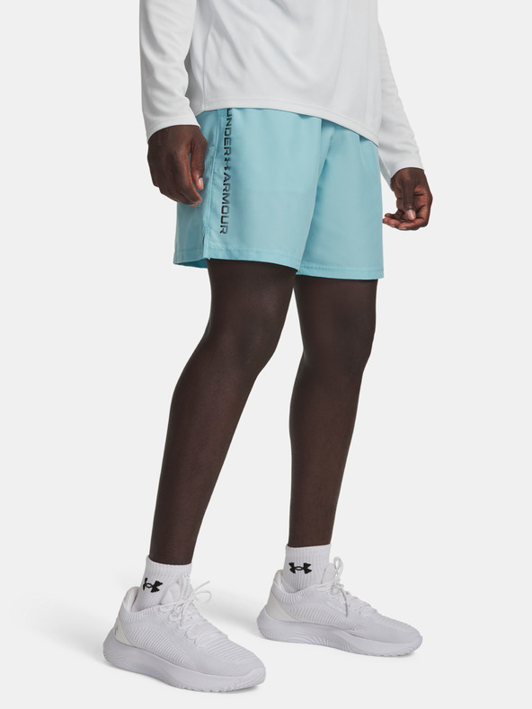 Under Armour Pánske kraťasy Under Armour UA Tech Woven Wordmark Short