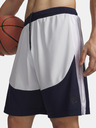 Under Armour Pánske kraťasy Under Armour UA Hoops Splash Short