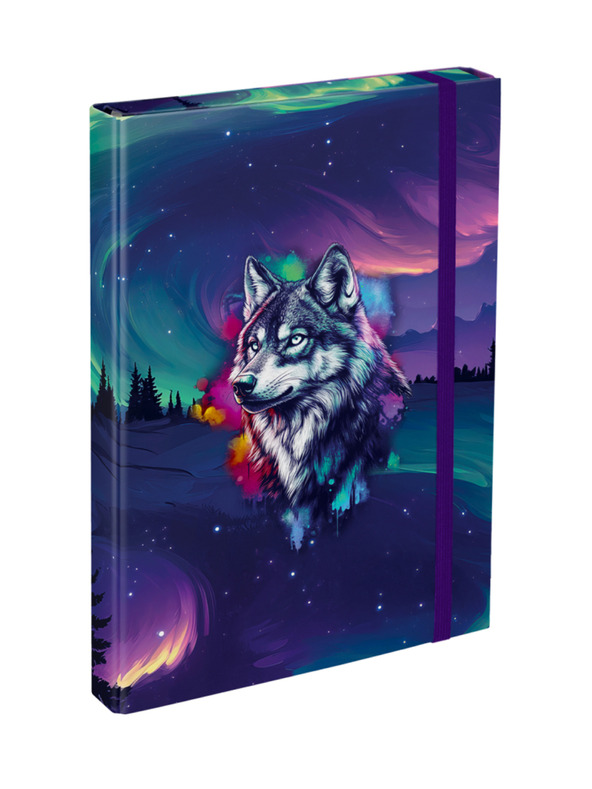 BAAGL  BAAGL Obaly na školské zošity A4 Aurora