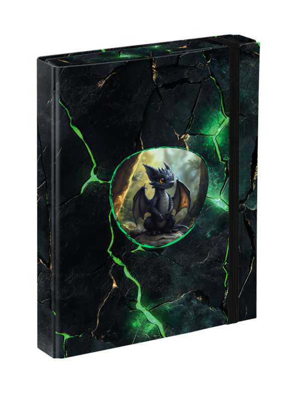 BAAGL  BAAGL Obaly na školské zošity A5 Draci