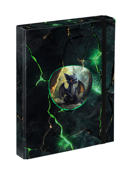 BAAGL  BAAGL Obaly na školské zošity A5 Draci