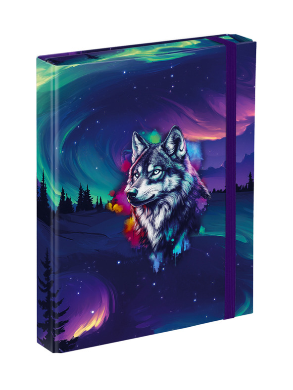 BAAGL  BAAGL Obaly na školské zošity A5 Aurora