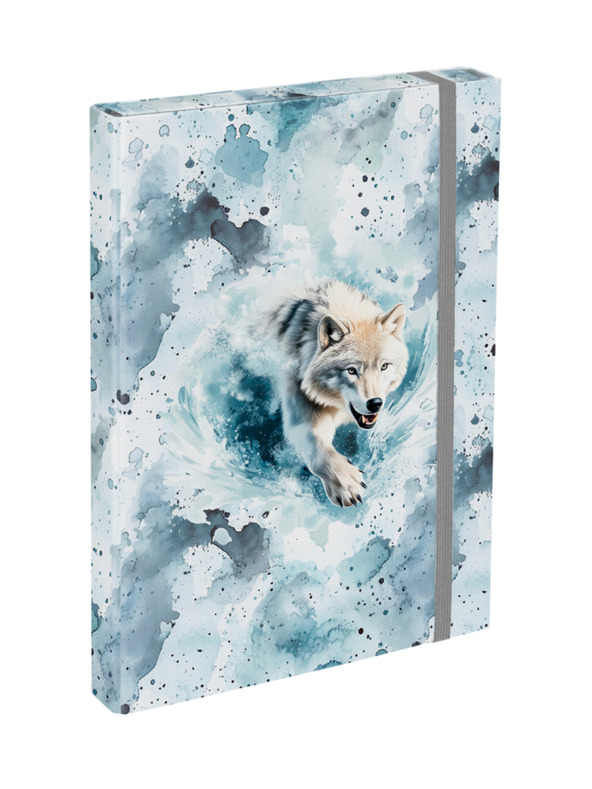 BAAGL  BAAGL Obaly na školské zošity A4 Polar