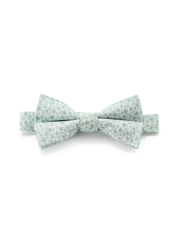 Celio Motýlik Nibowaop1