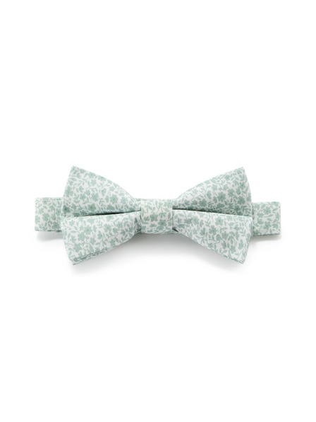 Celio Motýlik Nibowaop1