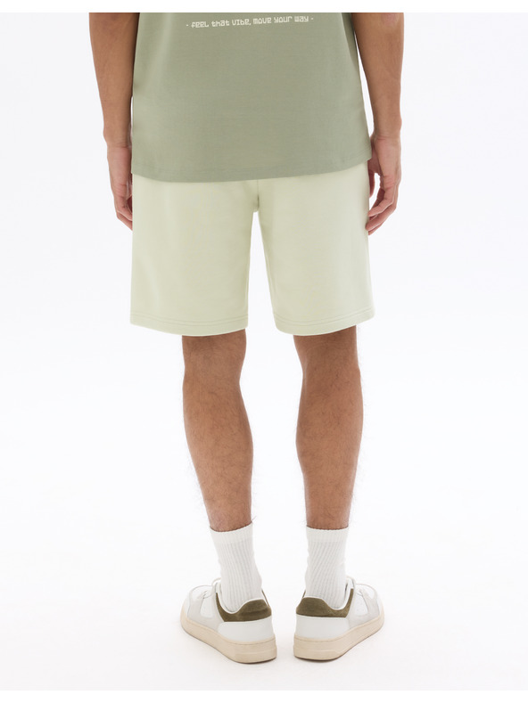 Celio Kraťasy Loshort2