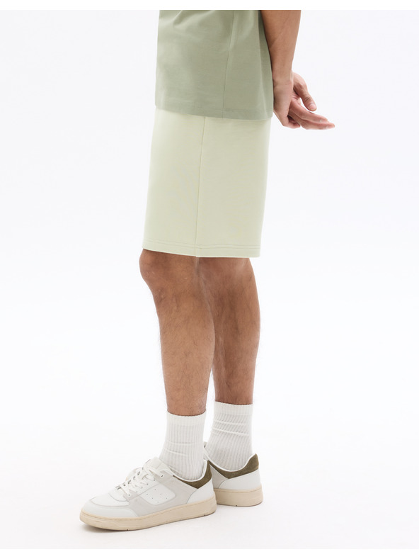 Celio Kraťasy Loshort2