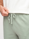 Ombre Clothing Pánske šortky REGULAR FIT z francúzskeho froté úpletu - pastelovo zelené V3 OM-SRSK-0196 Ombre Clothing