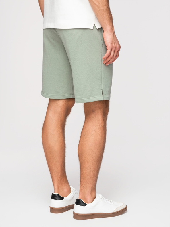 Ombre Clothing Pánske šortky REGULAR FIT z francúzskeho froté úpletu - pastelovo zelené V3 OM-SRSK-0196 Ombre Clothing