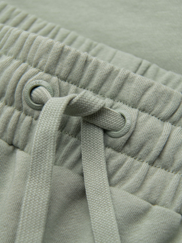 Ombre Clothing Pánske šortky REGULAR FIT z francúzskeho froté úpletu - pastelovo zelené V3 OM-SRSK-0196 Ombre Clothing