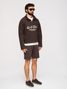 Ombre Clothing Pánske štruktúrované šortky REGULAR FIT - hnedé V5 OM-SRSK-0124 Ombre Clothing