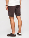 Ombre Clothing Pánske štruktúrované šortky REGULAR FIT - hnedé V5 OM-SRSK-0124 Ombre Clothing