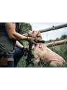 Tactical Tactical Airtag Beam Leather Brown