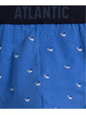 Atlantic Pánske športové slipy ATLANTIC 3Pack - viacfarebné Veľkosť: