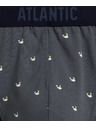 Atlantic Pánske športové slipy ATLANTIC 3Pack - viacfarebné Veľkosť: