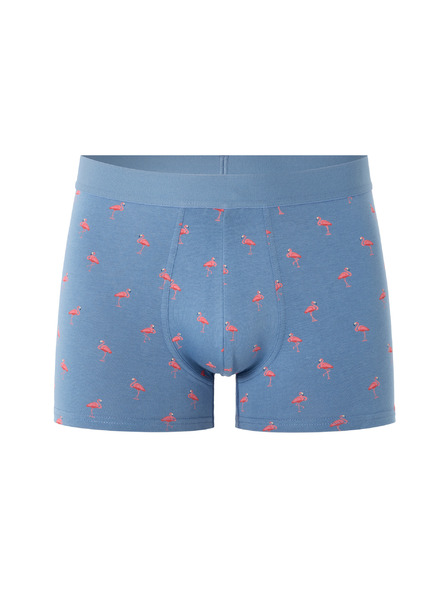 Celio Boxerky Niboflamin
