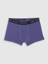 4F Chlapčenské boxerky 4F (3pack)
