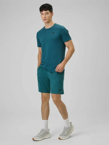 4F Pánske tričko 4F FNK