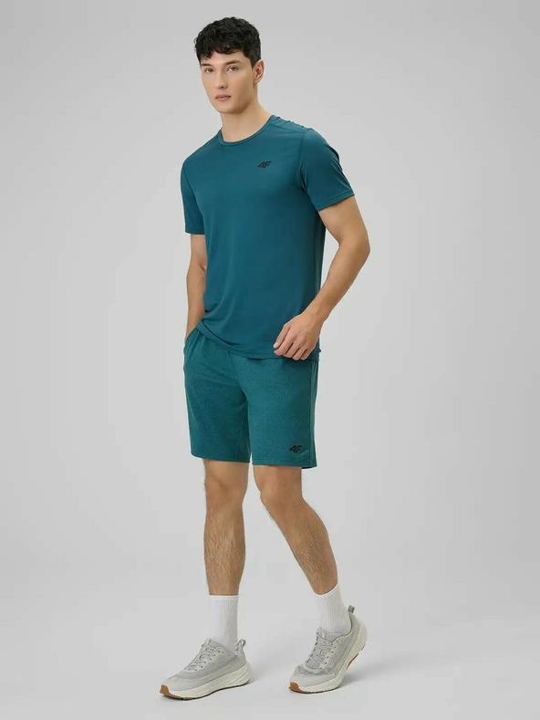 4F Pánske tričko 4F FNK