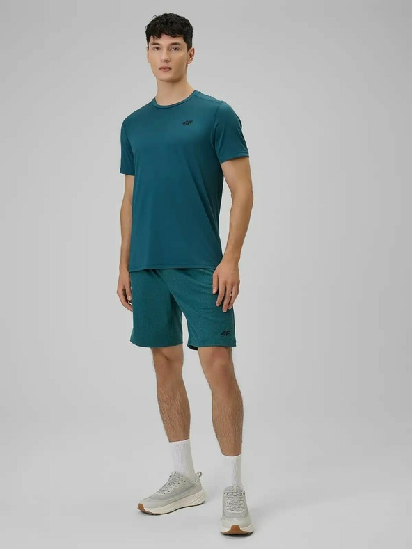 4F Pánske tričko 4F FNK